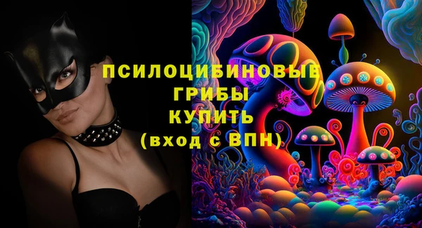 амф Инта