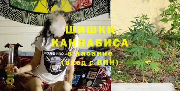 амф Инта