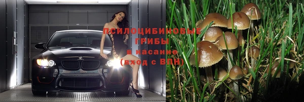 амф Инта