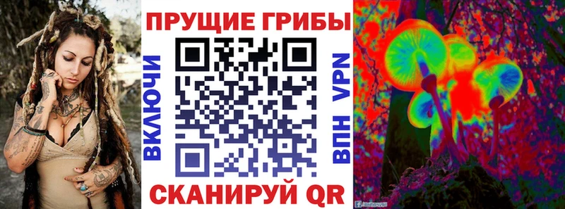 Купить где  Зеленогорск  Псилоцибиновые грибы мухоморы 